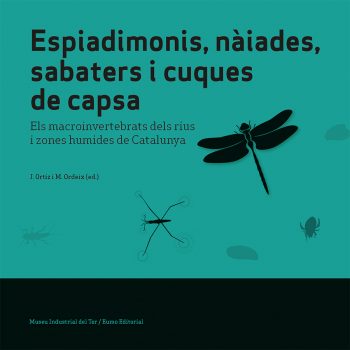 Espiadimonis, nàiades, sabaters i cuques de capsa