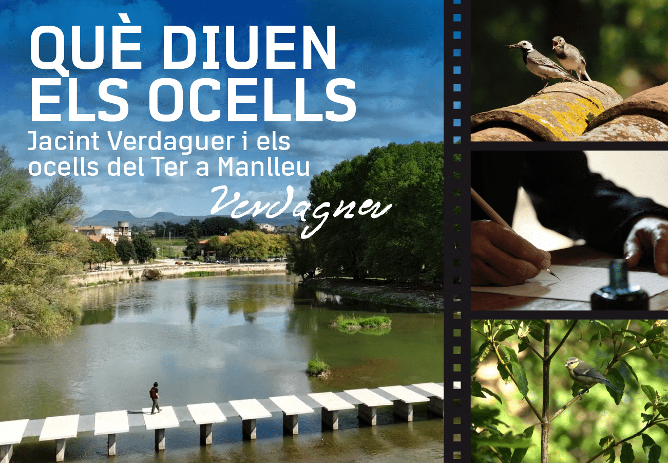 que-diuen-els-ocells-documental-verdaguer