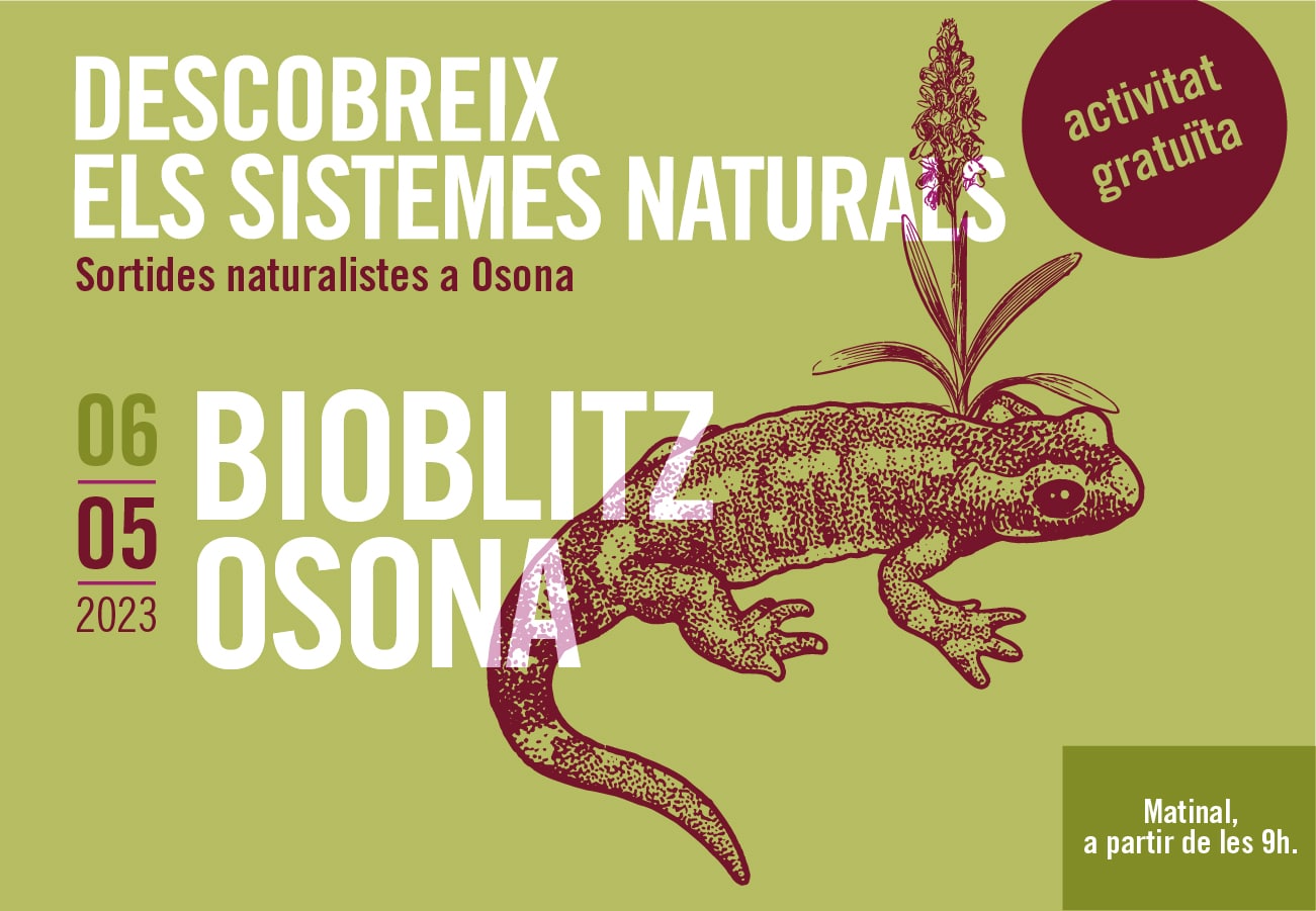 bioblitz osona sistemes naturals osona