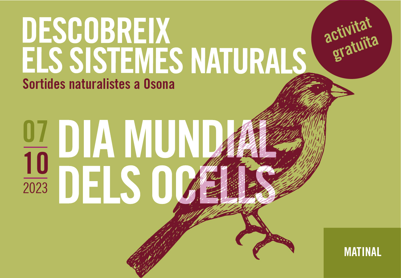 Dia Mundial dels Ocells. Sortides naturalistes a Osona