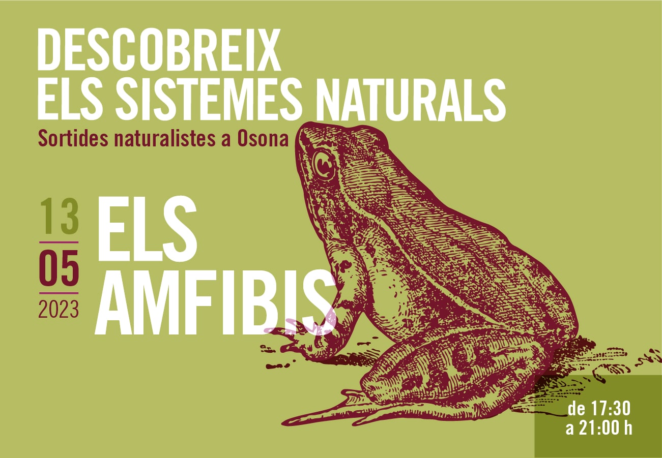 els amfibis sortides naturalistes osona 2023