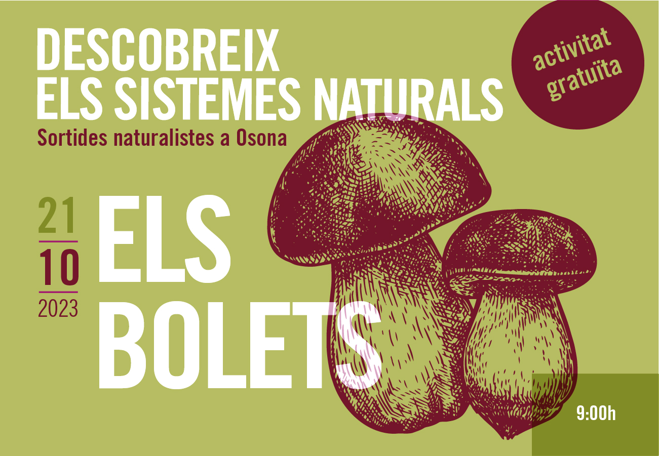 els bolets. Sortides naturalistes a Osona