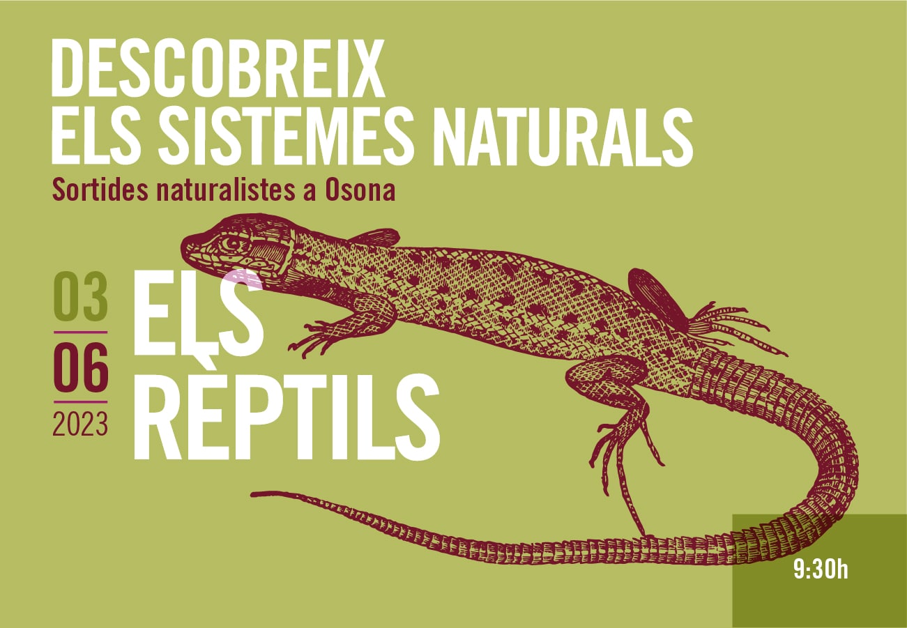 els reptils sortides naturalistes 2023