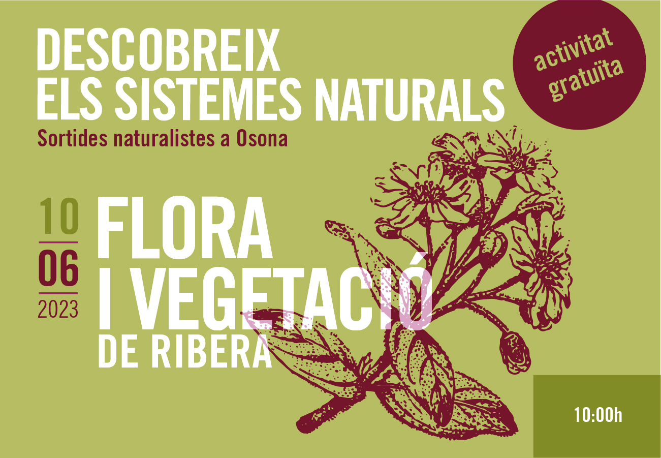 flora i vegetació sortides naturalistes osona