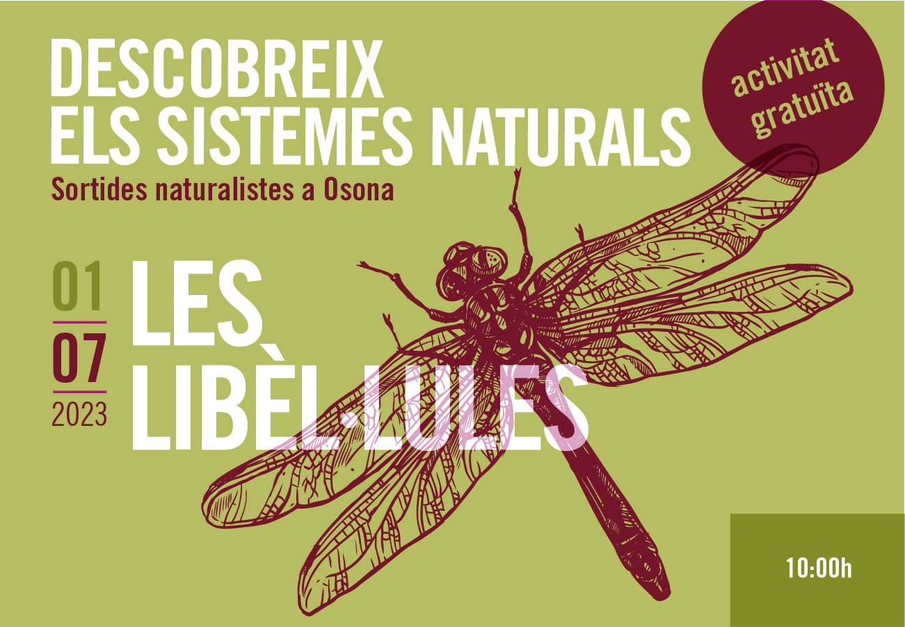 les libèl·lules sortides naturalistes Osona