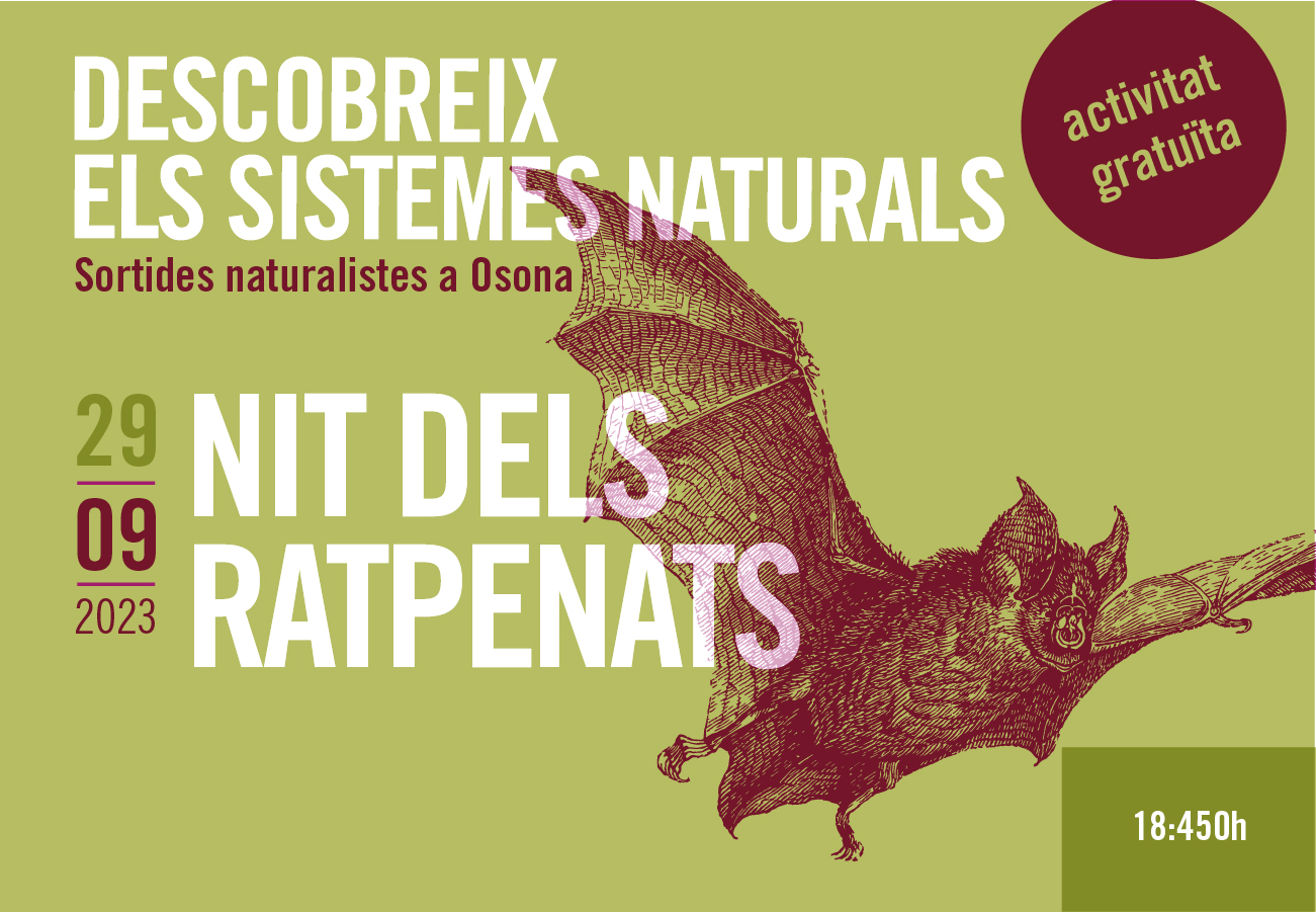 nit dels ratpenats. Sortides naturalistes a Osona