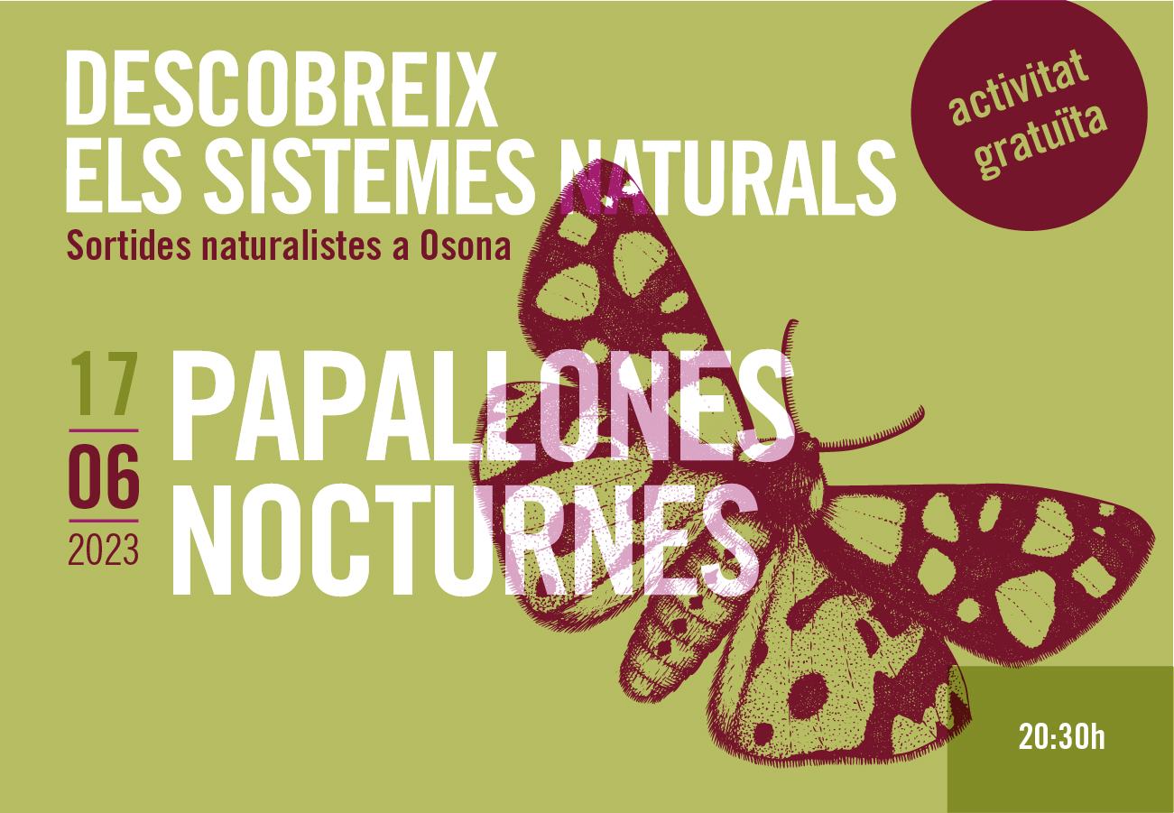 papallones nocturnes sortides naturalistes