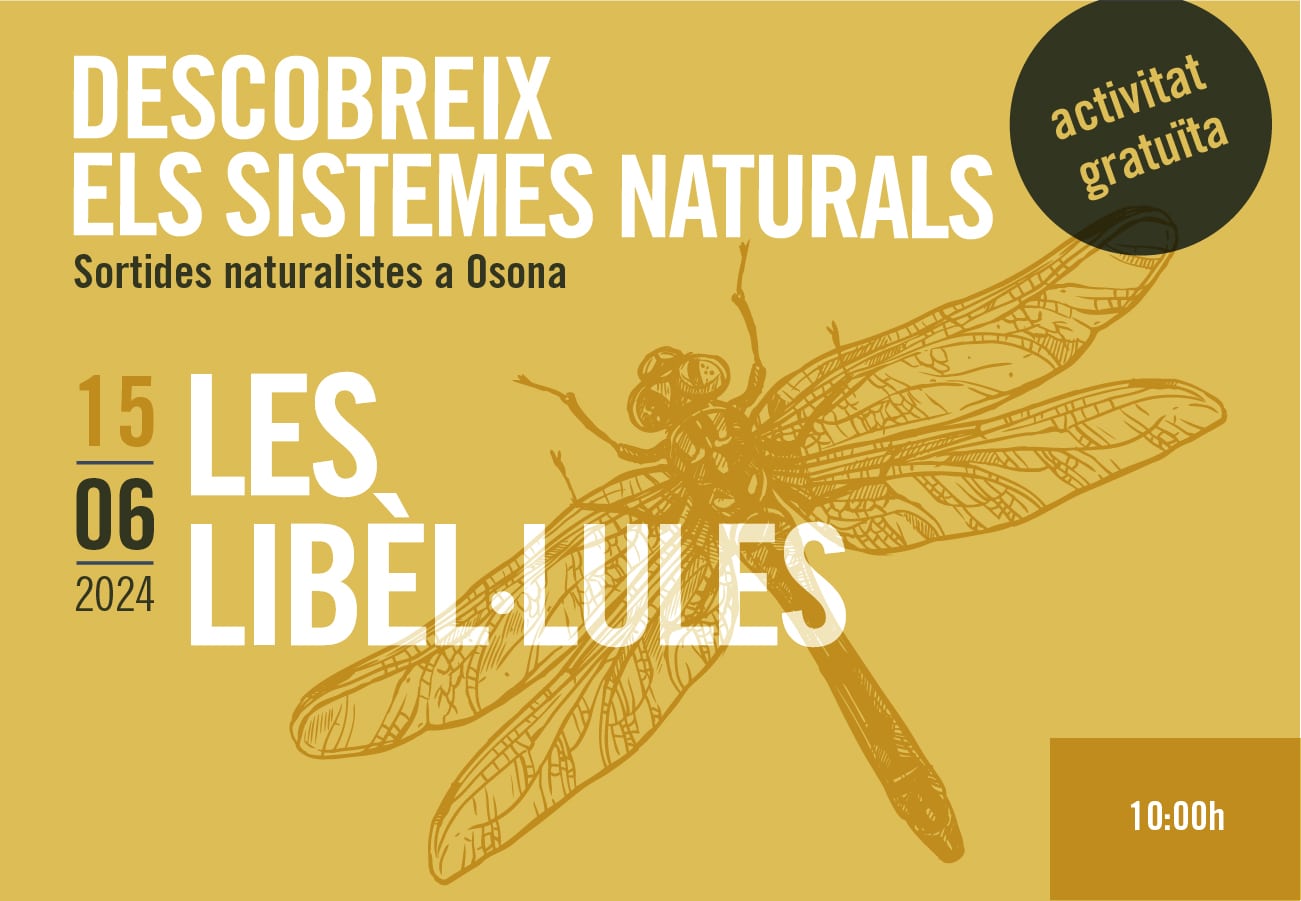 Les libèl·lules. Sortides naturalistes a Osona 2024