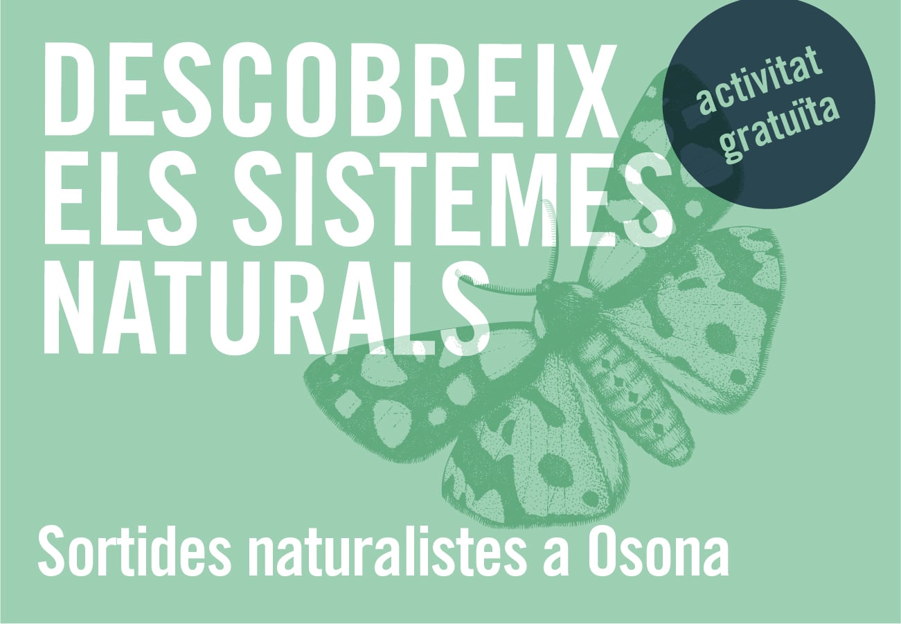 Sortides Naturalistes a Osona 2025