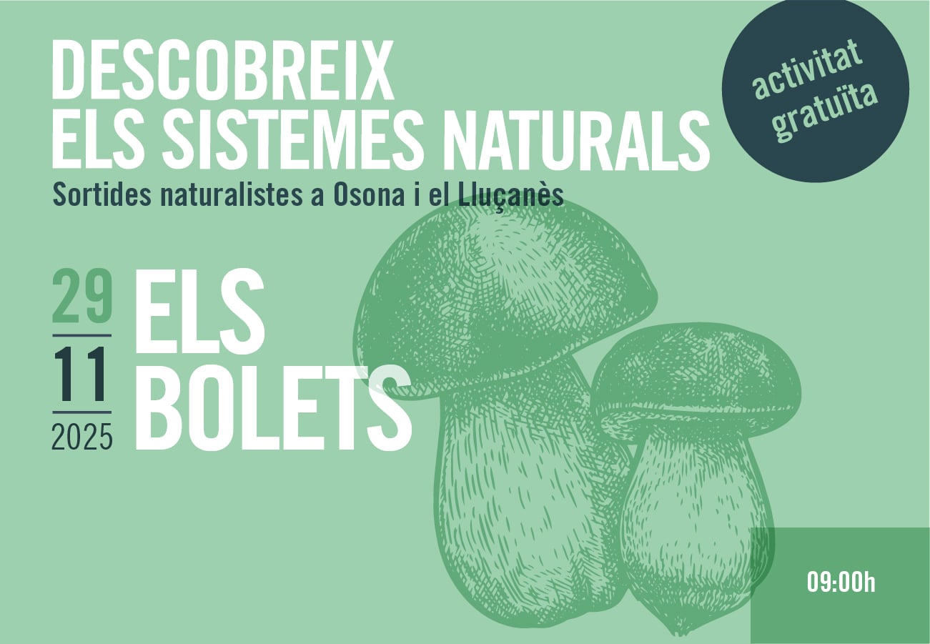 sortides naturalistes 2025. Els bolets